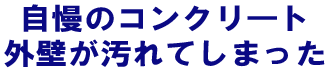 自慢のコンクリート外壁が汚れてしまった
